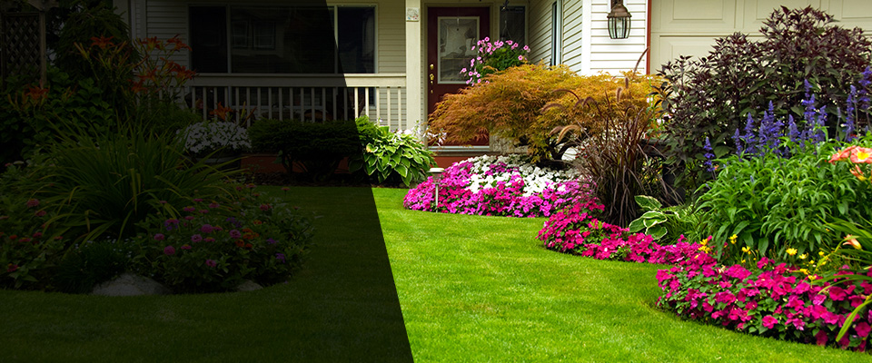 Surprise Landscapers