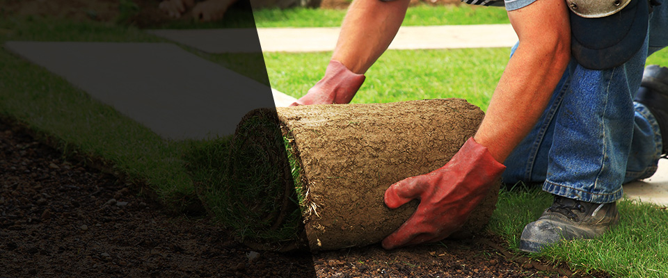 Surprise Landscapers
